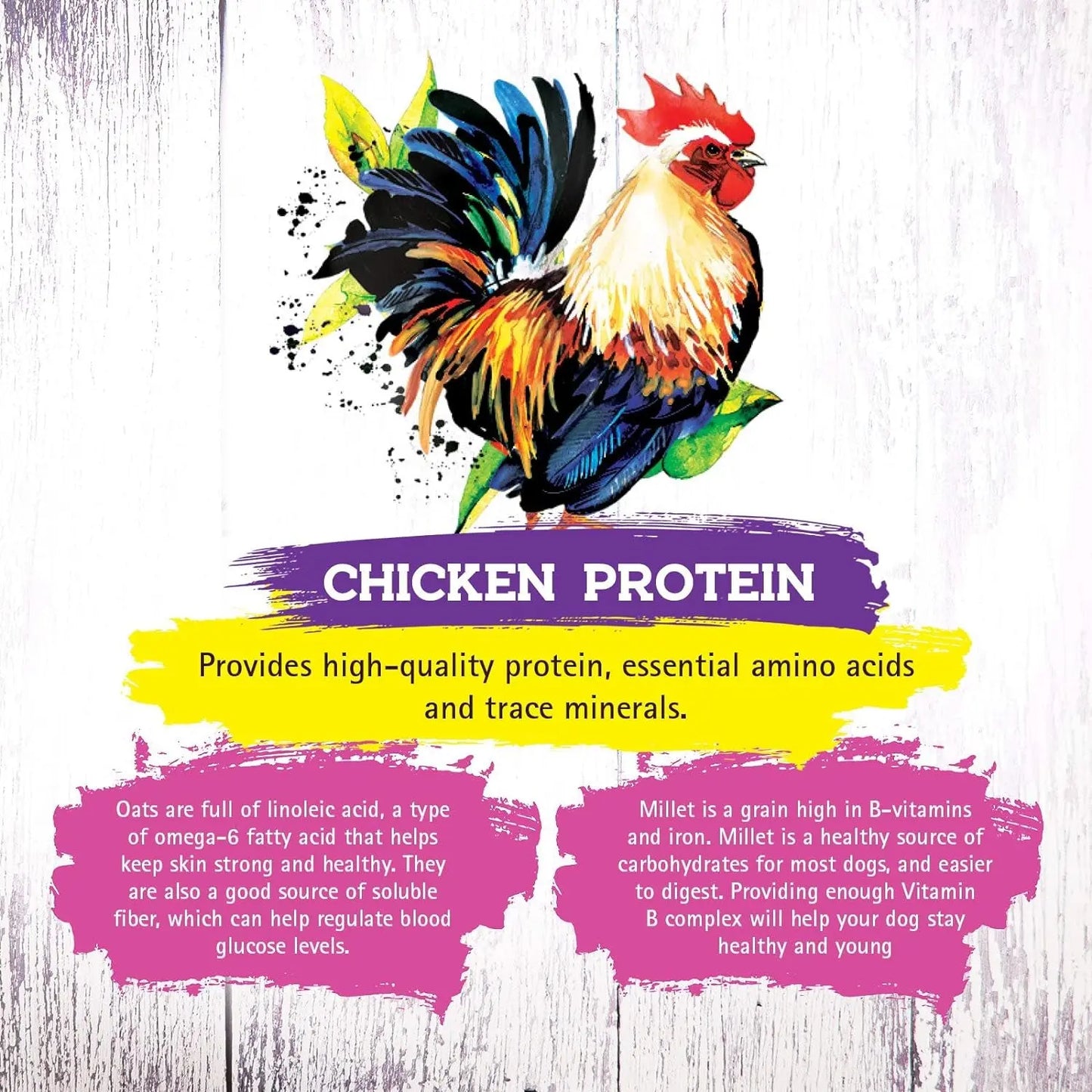 ® Chicken Recipe Dry Cat Food – Complete and Balanced, Meat-First, Legume-Free – 4 lb Bag