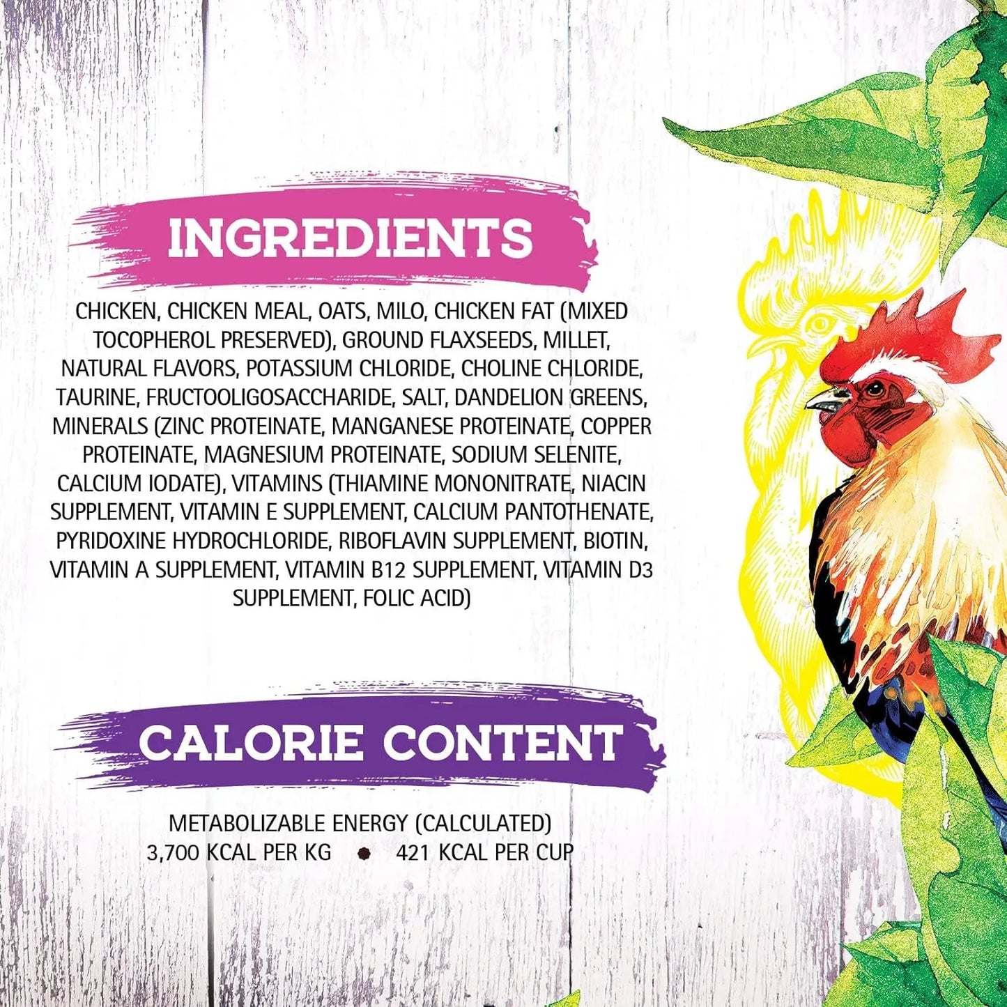 ® Chicken Recipe Dry Cat Food – Complete and Balanced, Meat-First, Legume-Free – 4 lb Bag
