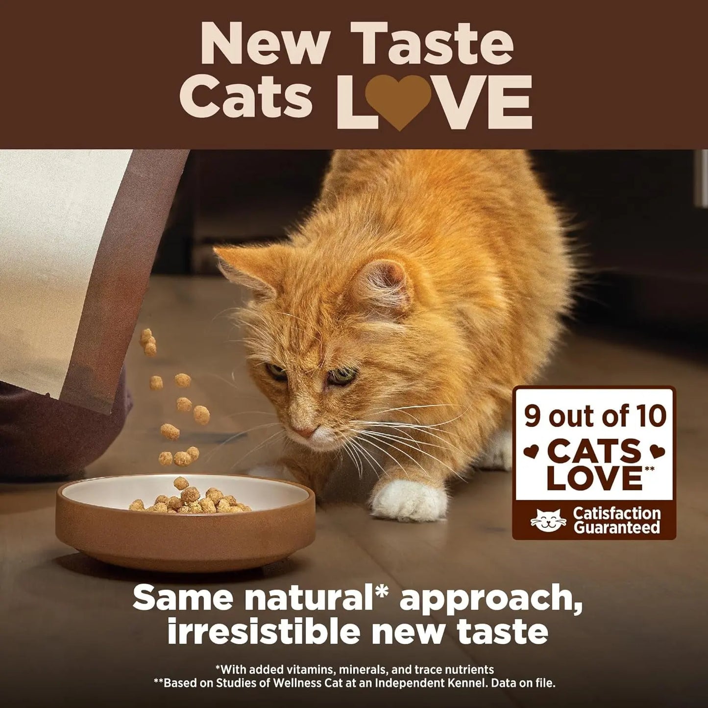 CORE+ Grain-Free Adult Dry Cat Food for Indoor Cats, Natural Chicken, Turkey & Chicken Meal, 5 lb Bag