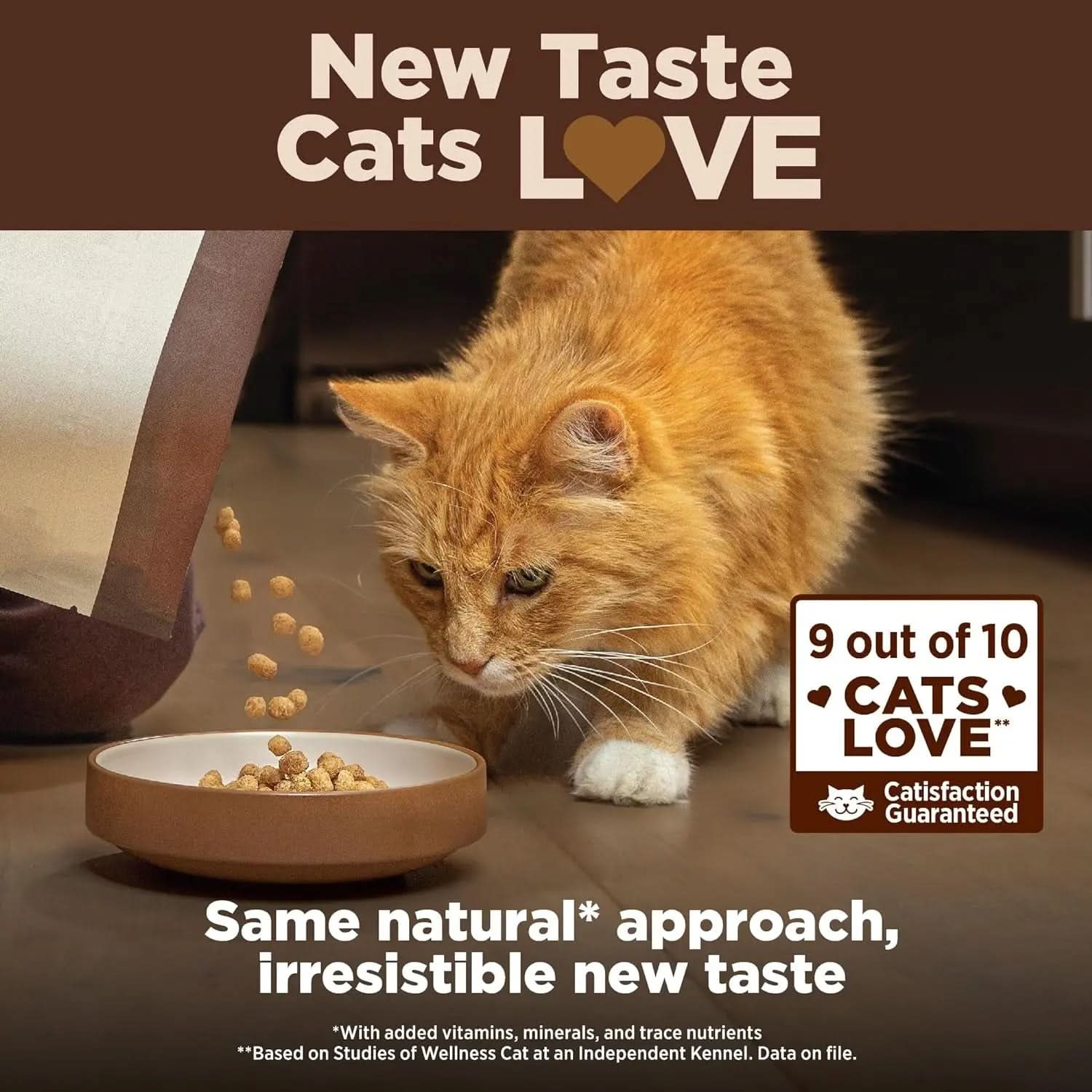 CORE+ Grain-Free Adult Dry Cat Food for Indoor Cats, Natural Chicken, Turkey & Chicken Meal, 5 lb Bag