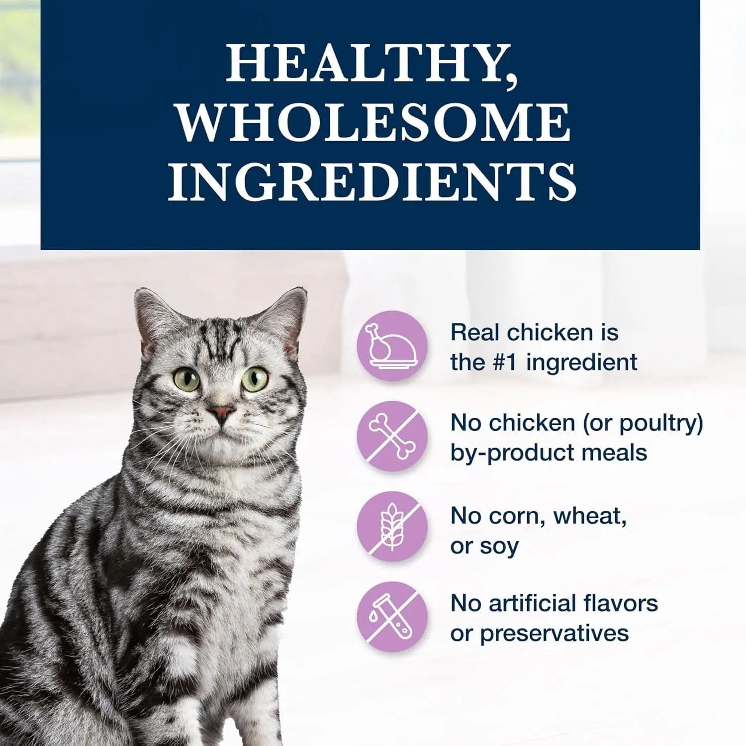 Natural Veterinary Diet W+U Weight Management and Urinary Care Dry Cat Food, Chicken Flavor, 6.5 lb Bag - Prescription Required