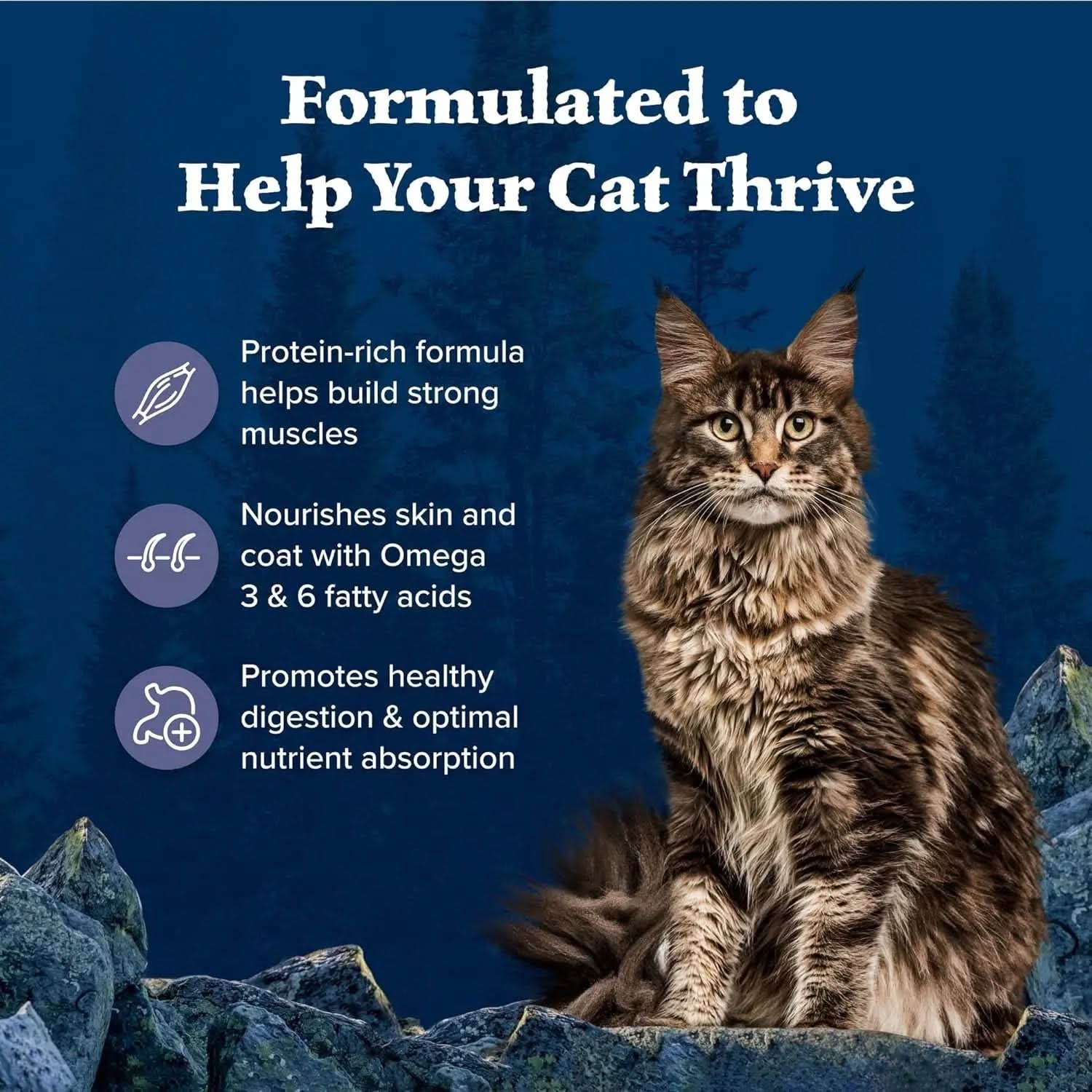 Wilderness High-Protein Grain-Free Dry Cat Food for Adults, Chicken, 6 lb Bag