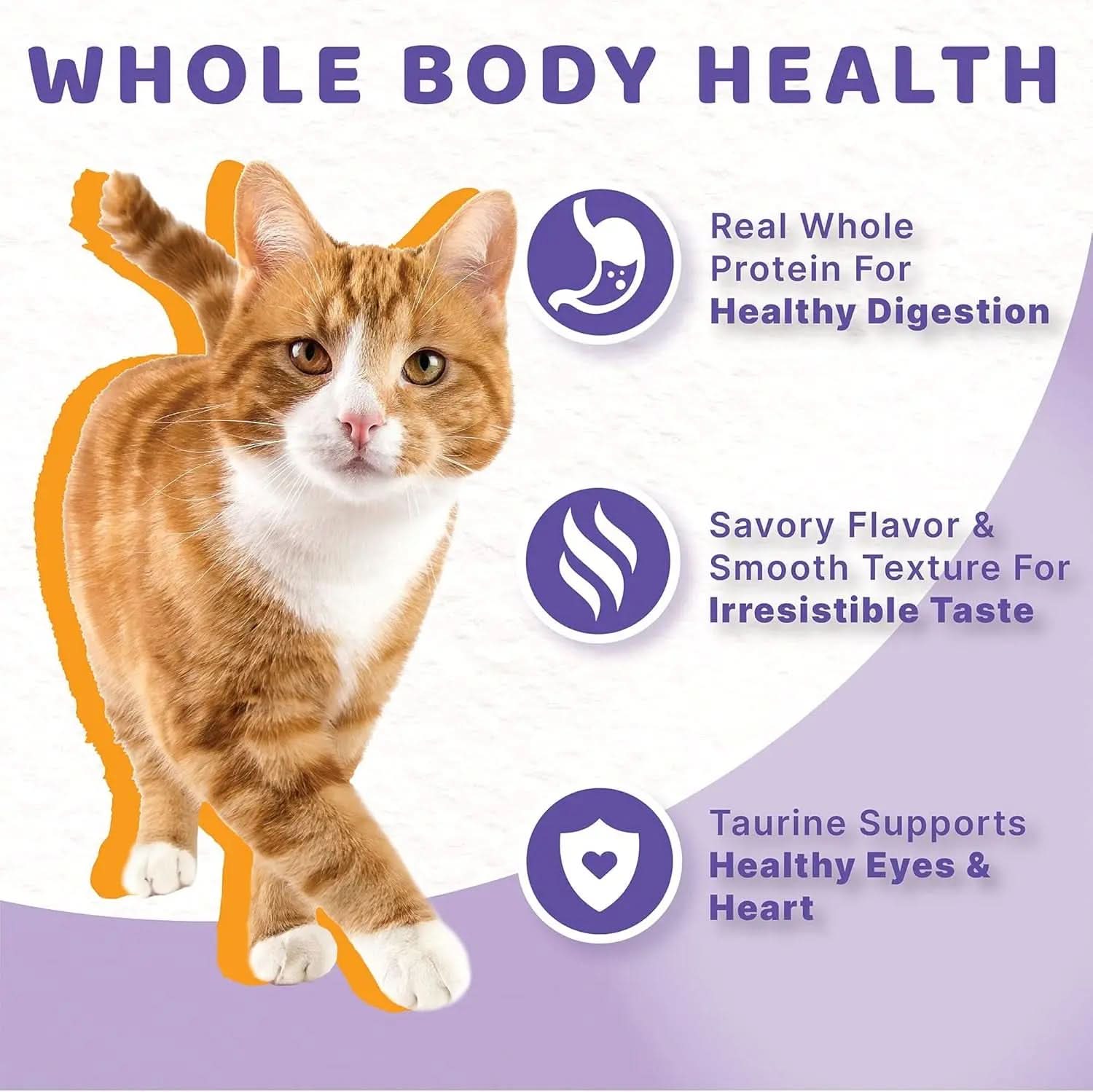 Indoor Cat Chicken & Beef Stew Wet Cat Food, 5.5 oz Can, Pack of 12