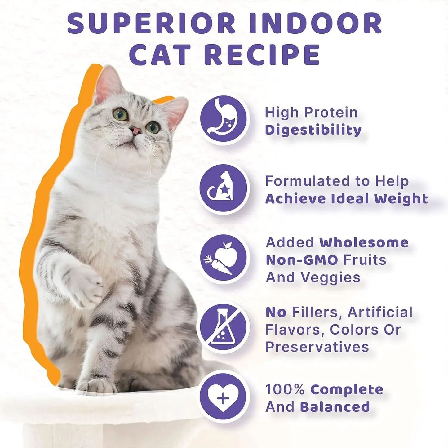 Indoor Cat Chicken & Beef Stew Wet Cat Food, 5.5 oz Can, Pack of 12