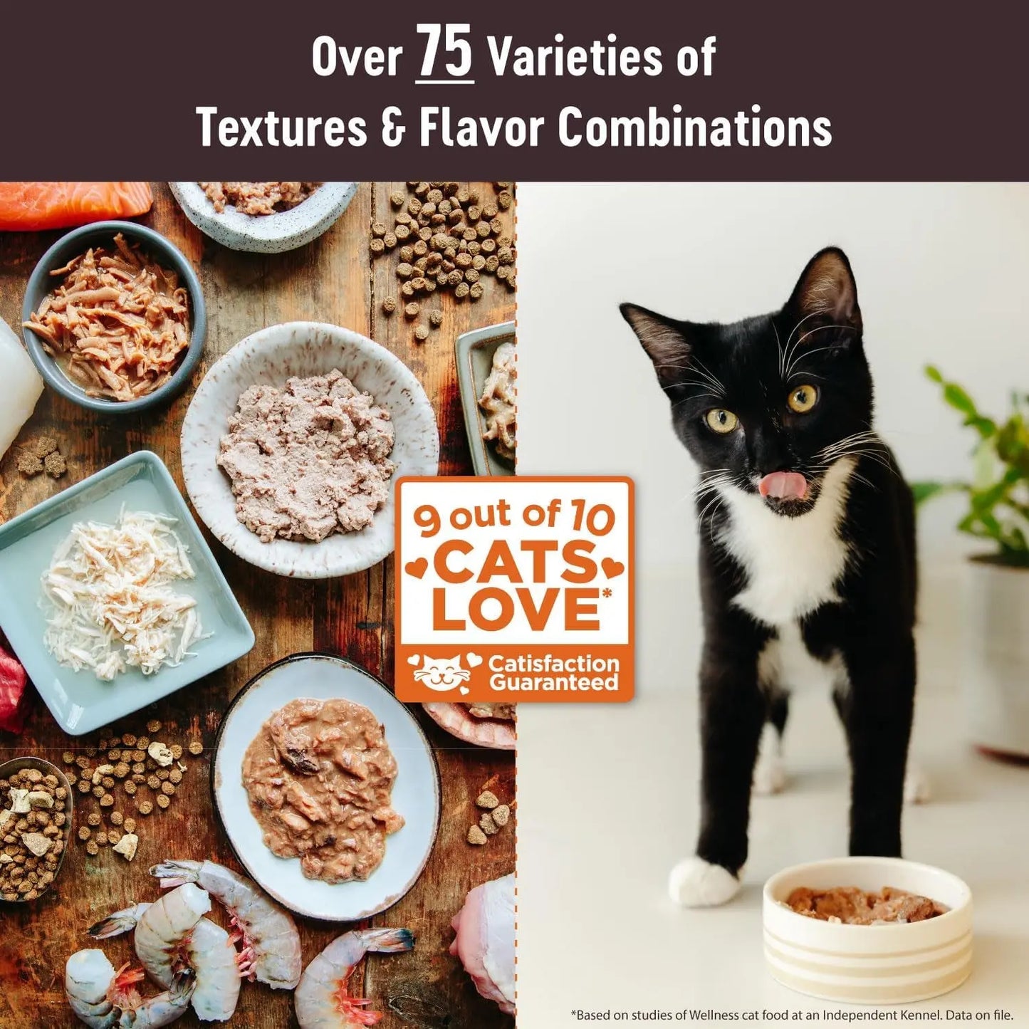 CORE Signature Selects Shredded Adult Wet Cat Food, Natural Protein-Rich Grain-Free, 2.8 Ounce, 12-Pack (Chicken & Beef Entrée)
