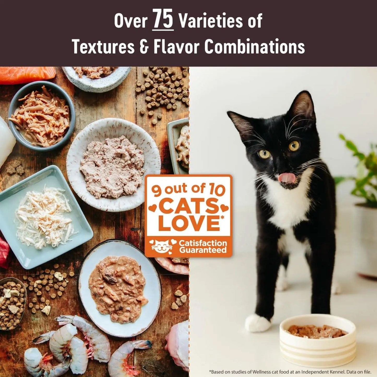 CORE Signature Selects Shredded Adult Wet Cat Food, Natural Protein-Rich Grain-Free, 2.8 Ounce, 12-Pack (Chicken & Beef Entrée)