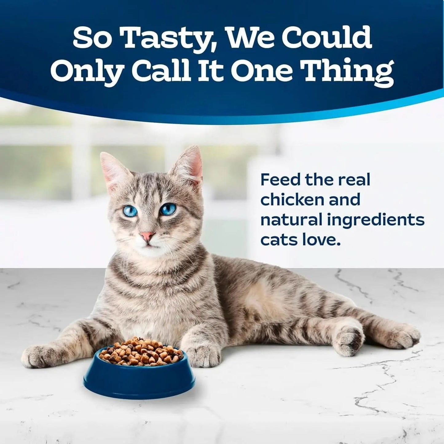 Tastefuls Natural Dry Cat Food for Adults, Chicken and Brown Rice Recipe, 15 lb Bag