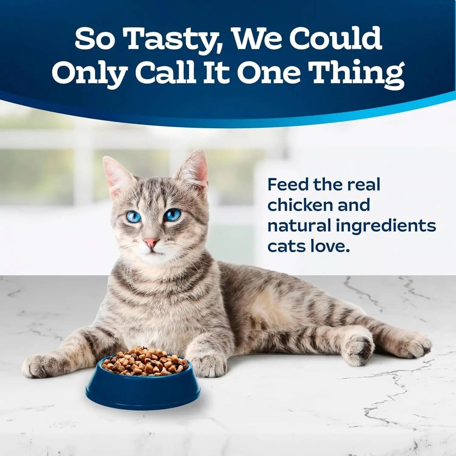 Tastefuls Natural Dry Cat Food for Adults, Chicken and Brown Rice Recipe, 15 lb Bag