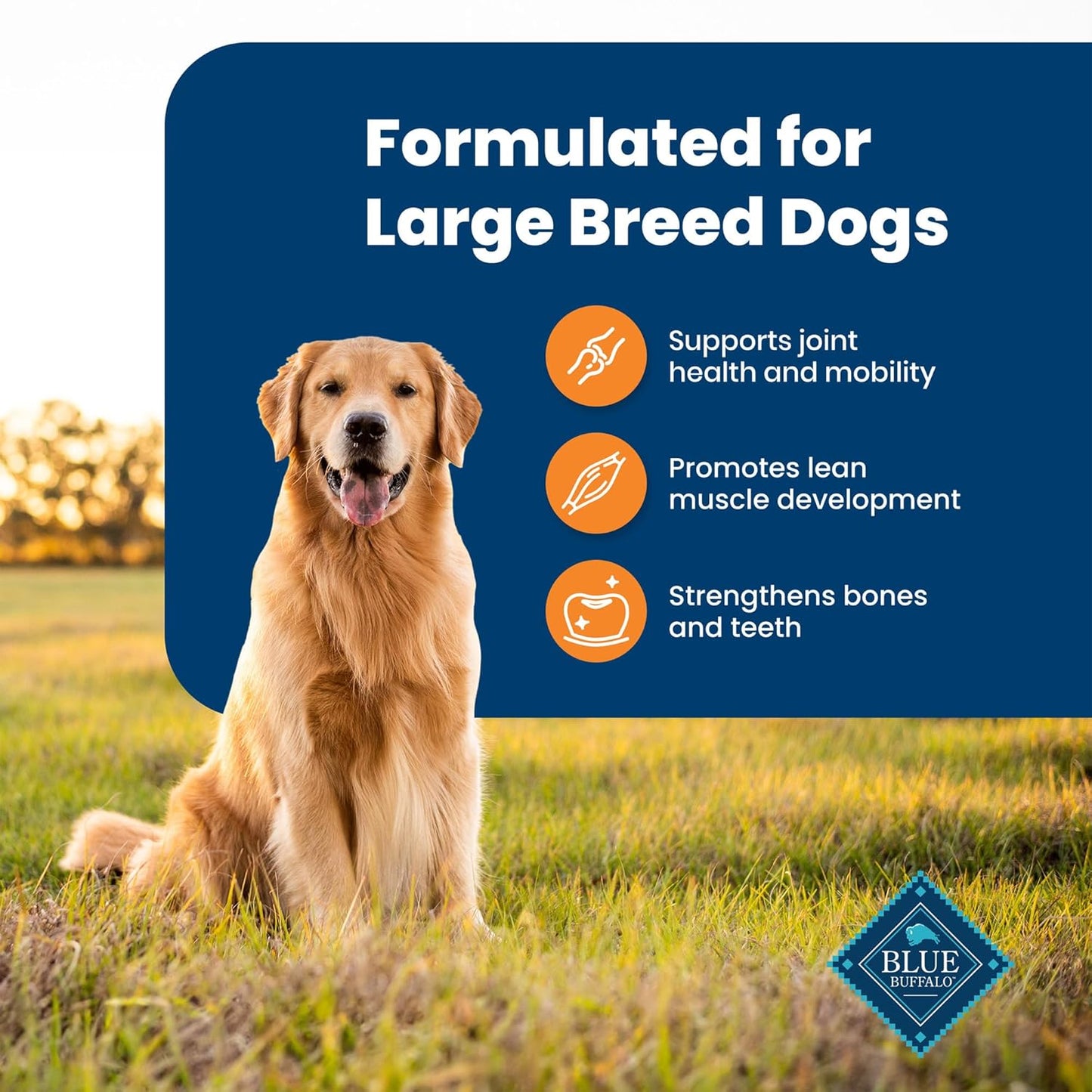 Life Protection Formula Large Breed Adult Dry Dog Food with Chicken & Brown Rice, 30 lb Bag - Supports Joint Health and Lean Muscle Development with Natural Ingredients