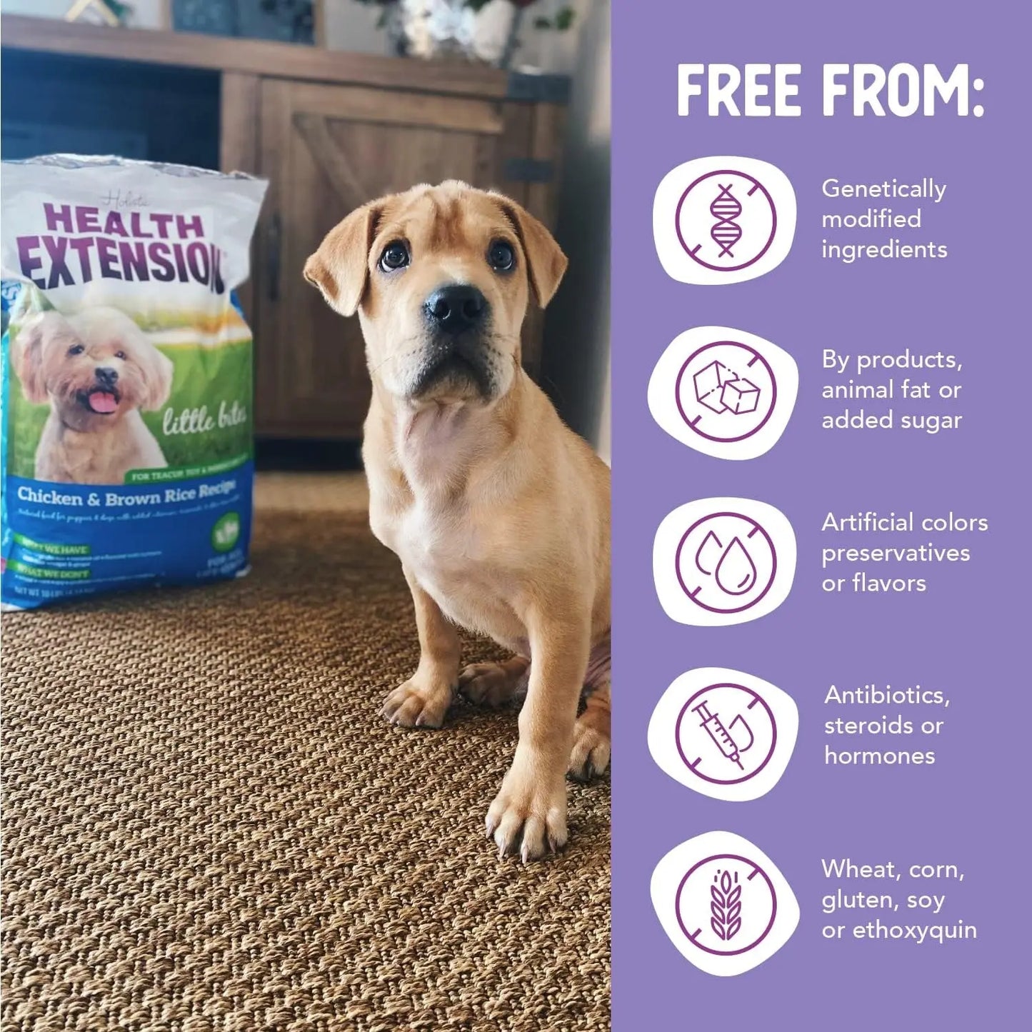 Little Bites Dry Dog Food for Small Breeds, Chicken & Brown Rice Formula, Promotes Skin, Coat, Digestion, and Immunity with Probiotics and Superfoods, 4 lb Bag