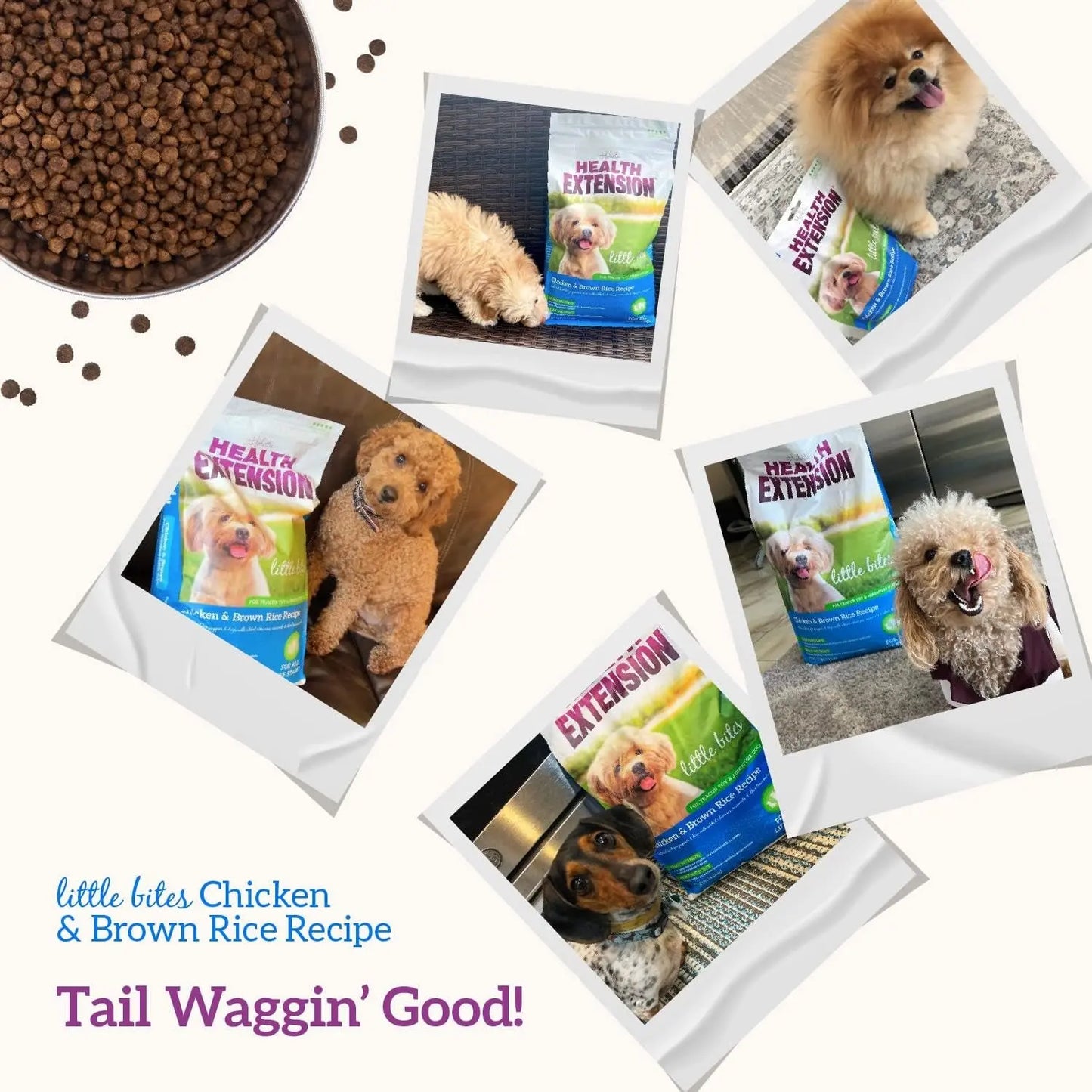 Little Bites Dry Dog Food for Small Breeds, Chicken & Brown Rice Formula, Promotes Skin, Coat, Digestion, and Immunity with Probiotics and Superfoods, 4 lb Bag