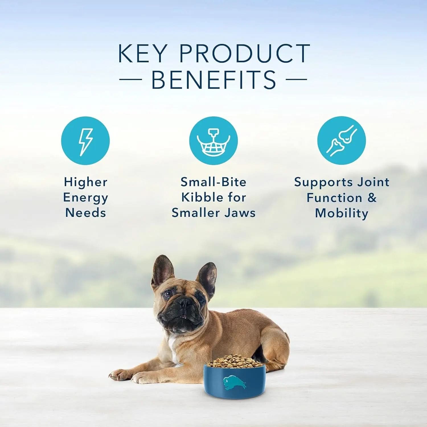 Life Protection Formula Natural Adult Small Breed Dry Dog Food with Chicken and Brown Rice, 6 lb
