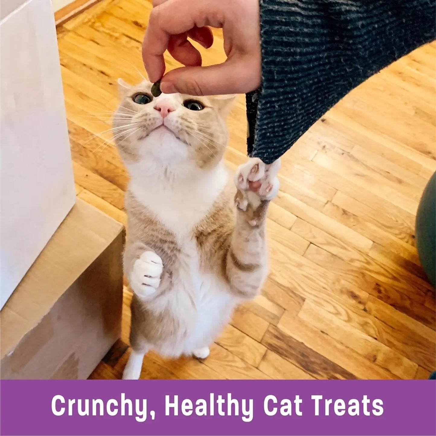 Kittles Grain-Free Crunchy Cat Treats with Chicken & Cranberry, 2 oz