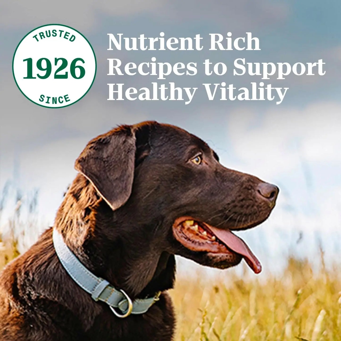 Natural Choice Adult Large Breed Healthy Weight Dry Dog Food with Chicken and Brown Rice, 30 lbs