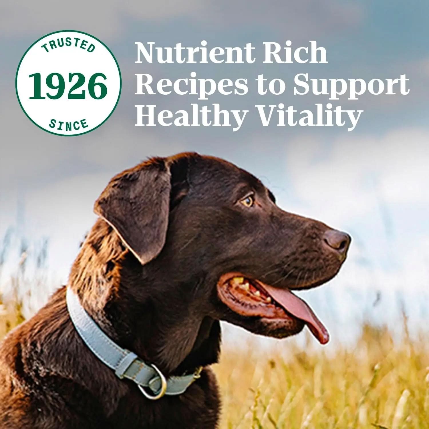 Natural Choice Adult Large Breed Healthy Weight Dry Dog Food with Chicken and Brown Rice, 30 lbs