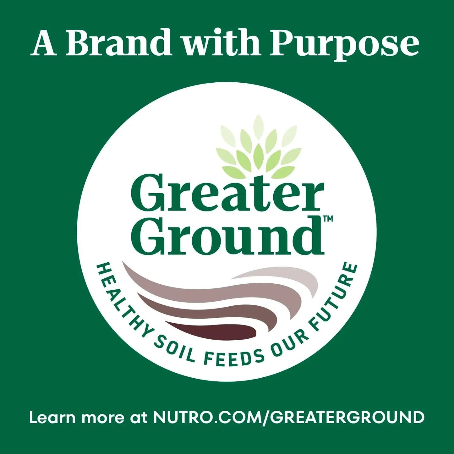 Natural Choice Adult Large Breed Healthy Weight Dry Dog Food with Chicken and Brown Rice, 30 lbs