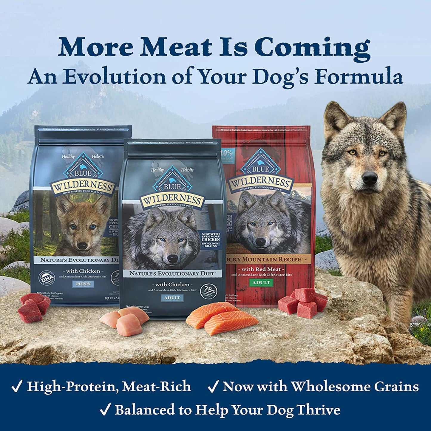 Wilderness High-Protein Natural Adult Dry Dog Food with Wholesome Grains, Chicken Flavor, 24 lb