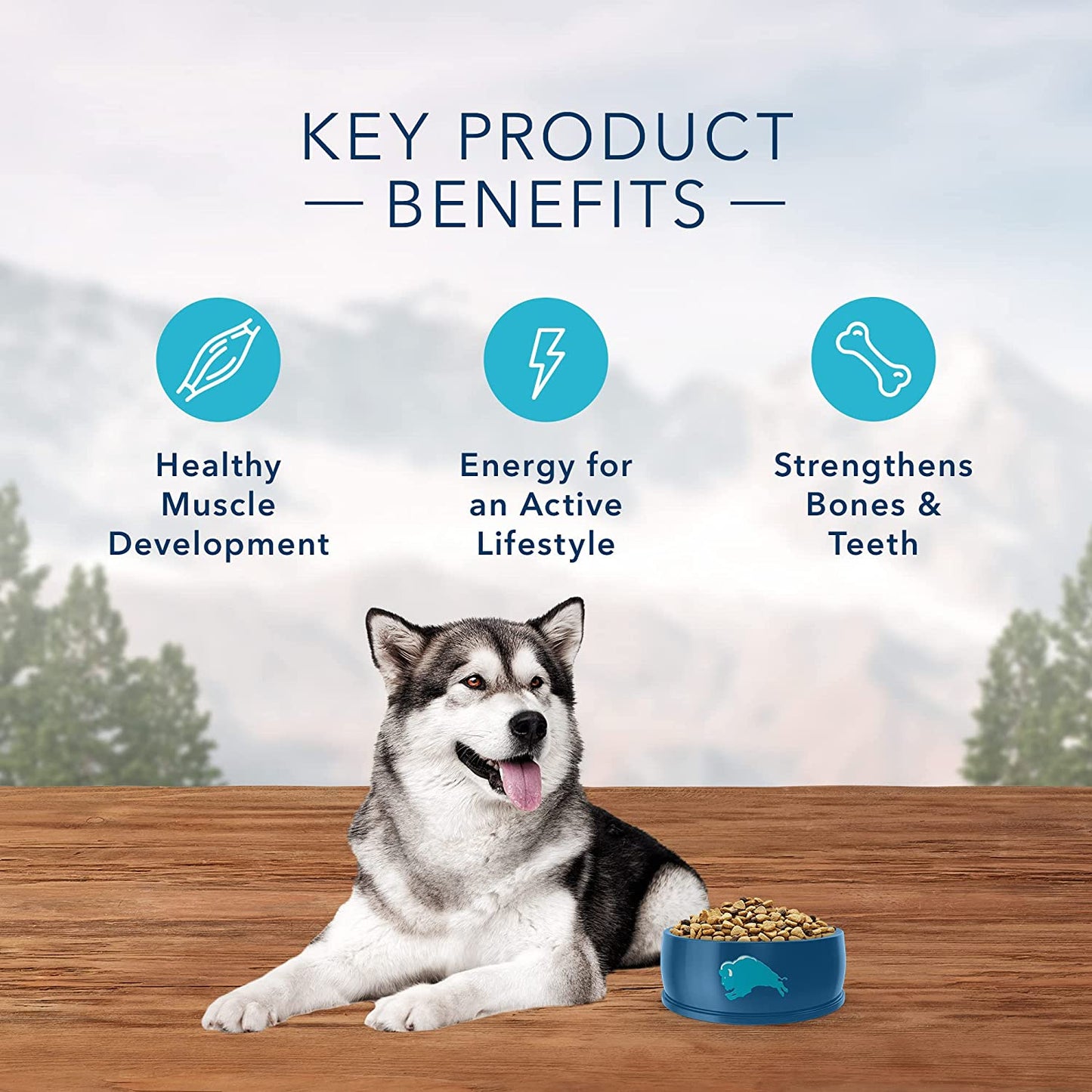 Wilderness High-Protein Natural Adult Dry Dog Food with Wholesome Grains, Chicken Flavor, 24 lb