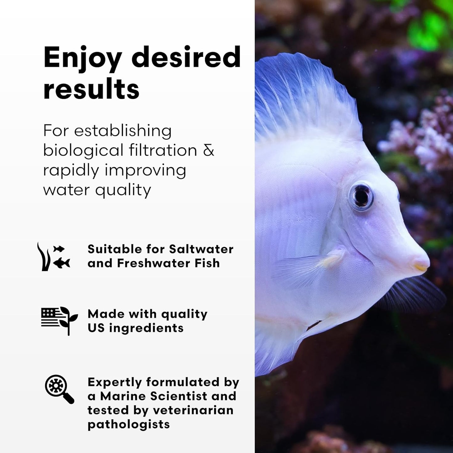 Microbacter7 Complete Bioculture for Aquariums - Enhances Biological Filter Media for Freshwater and Saltwater Fish - 16.9 Fl Oz