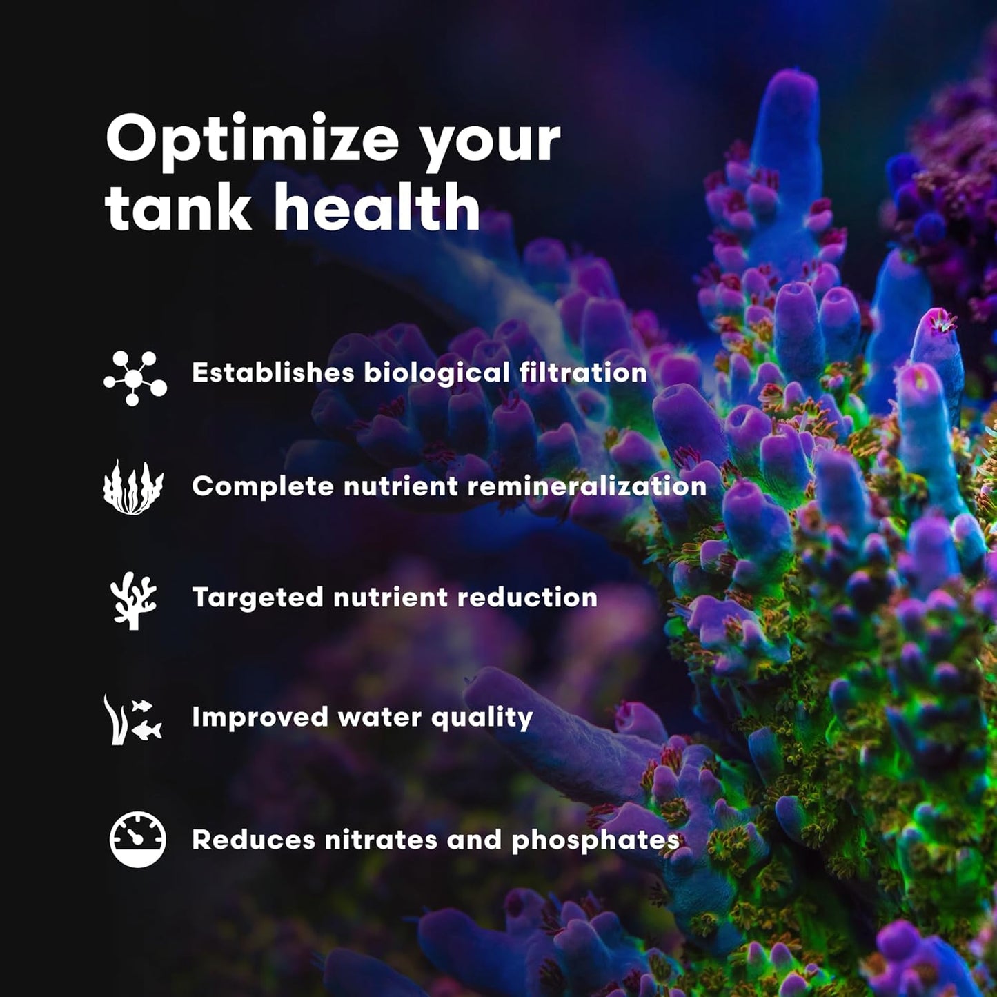 Microbacter7 Complete Bioculture for Aquariums - Enhances Biological Filter Media for Freshwater and Saltwater Fish - 16.9 Fl Oz
