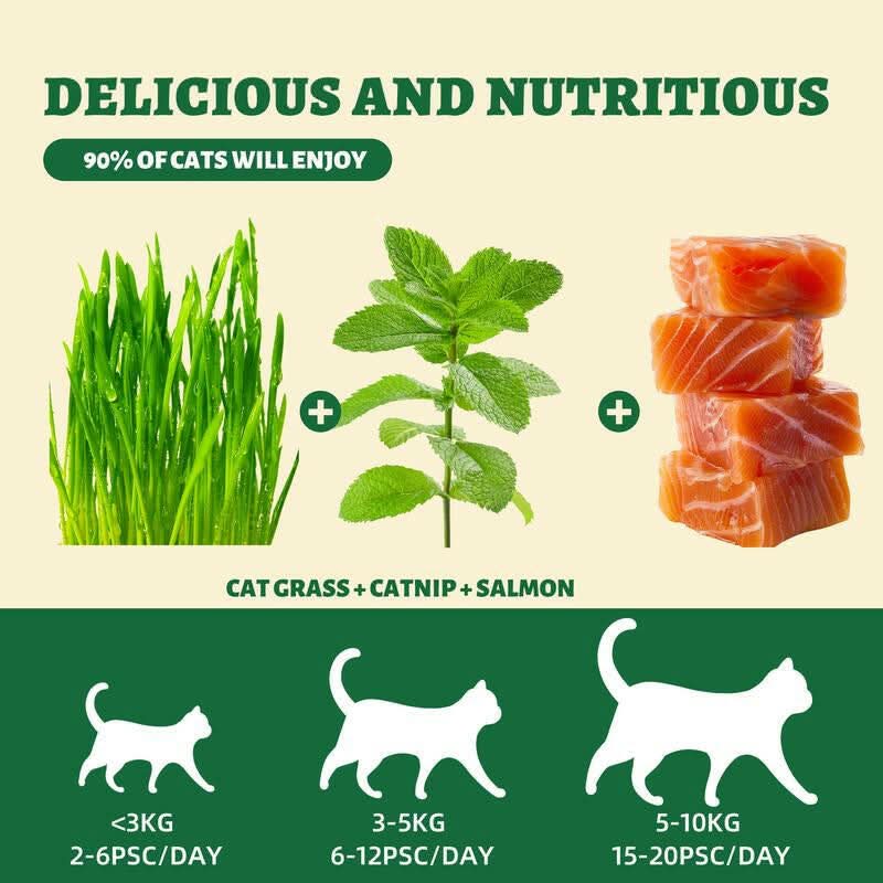 450G/16Oz Cat Grass Treats,Crunchy Cat Treats 9 Packs (50G Each),Natural Cat Grass Sticks &Cat Grass Teeth Cleaning Treats for Cat Training Rewards Box Pet Products