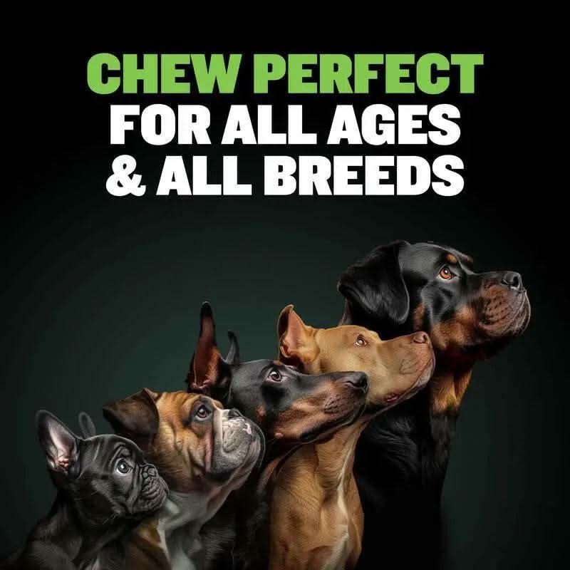 Bully Max Power Chews, Long-Lasting Dog Treats 75% Protein, Cleans Teeth, Freshens Breath, Natural Dog Chew