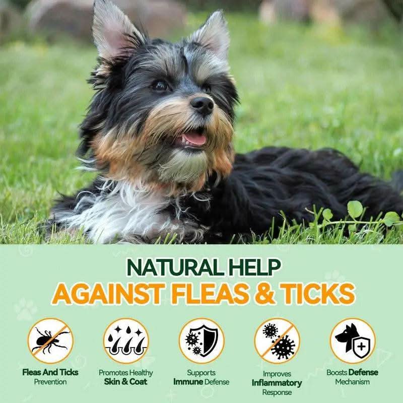 Carmelie Natural Flea & Tick Support for Dogs – 200 Chews, All Breeds & Sizes, Supports Healthy Skin & Coat with Omega-3, Puppy Flea Protection, Chicken Flavor Treats Poodle