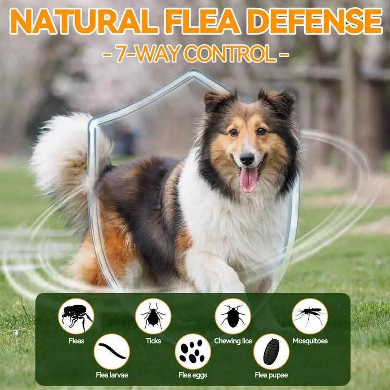 Carmelie Natural Flea & Tick Support for Dogs – 200 Chews, All Breeds & Sizes, Supports Healthy Skin & Coat with Omega-3, Puppy Flea Protection, Chicken Flavor Treats Poodle