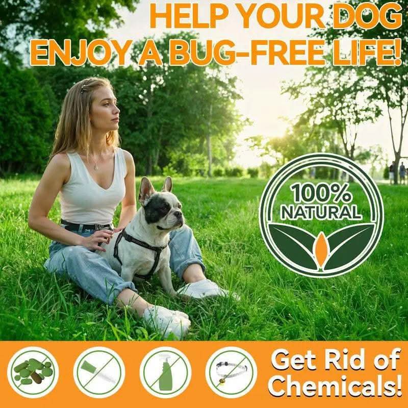 Carmelie Natural Flea & Tick Support for Dogs – 200 Chews, All Breeds & Sizes, Supports Healthy Skin & Coat with Omega-3, Puppy Flea Protection, Chicken Flavor Treats Poodle