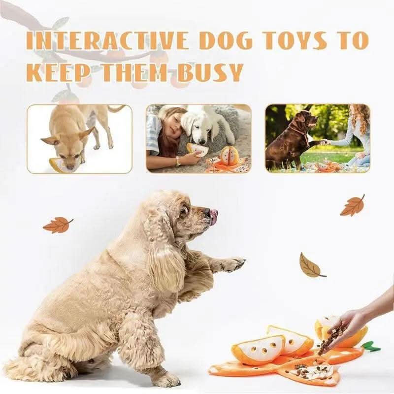 Nocciola 5-In-1 Orange Dog Enrichment Toys, 4 Orange Slices with a Peel Snuffle Mat for Treats Hunting Fun, Squeaky Hide and Seek Puzzle Dog Toy for Medium Dogs