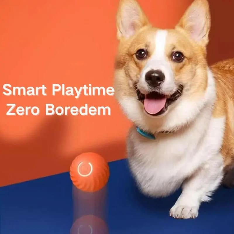 Sea Urchin Smart Pet Bouncing Ball for Dogs