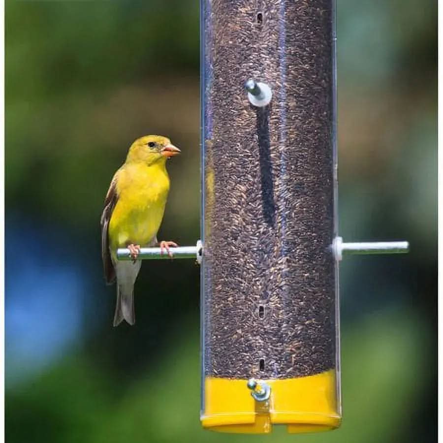 10 LB  Nyjer Wild Bird Food