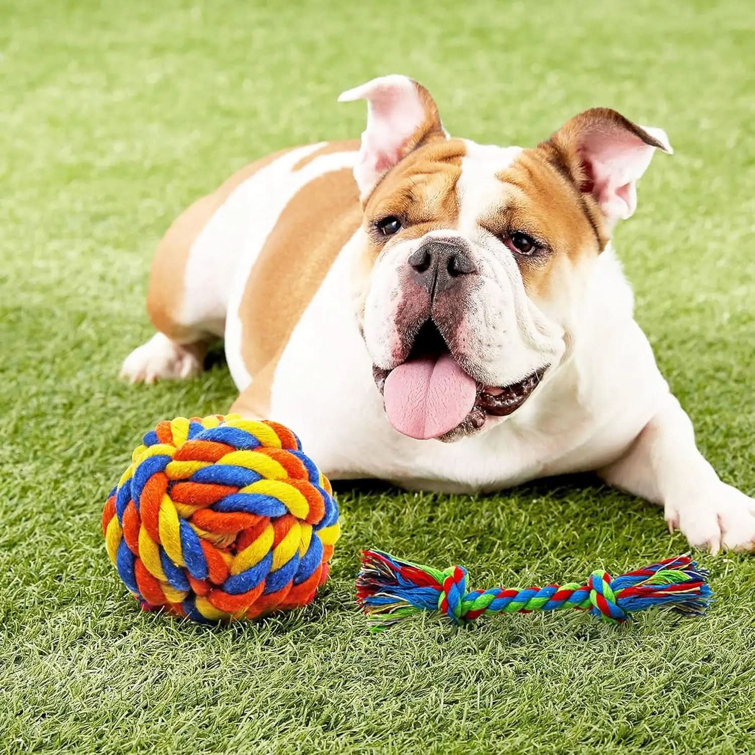 14-Pack Puppy Chew Toy Bundle - Includes Squeaky Toys, Tug of War Toys, and Teething Chew Balls for Small Dogs