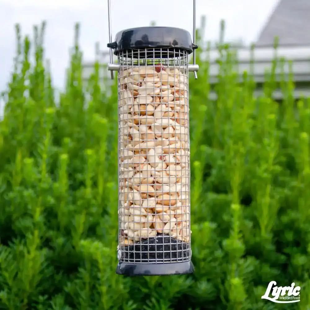 15 Lbs. Peanut Pieces Wild Bird Food