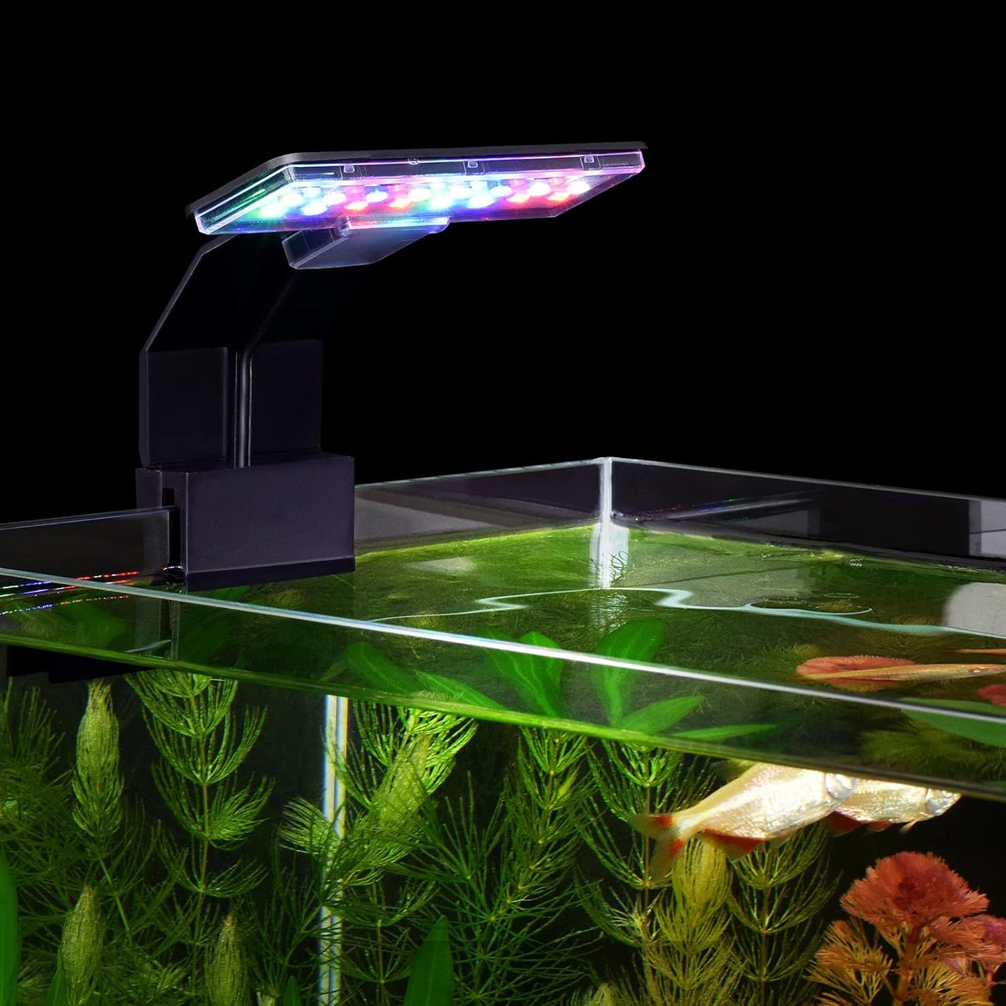 5W LED Aquarium Light with Three Adjustable Modes, 16 LEDs, 550LM for 12-Inch Fish Tanks (0.24 Inch Thickness)