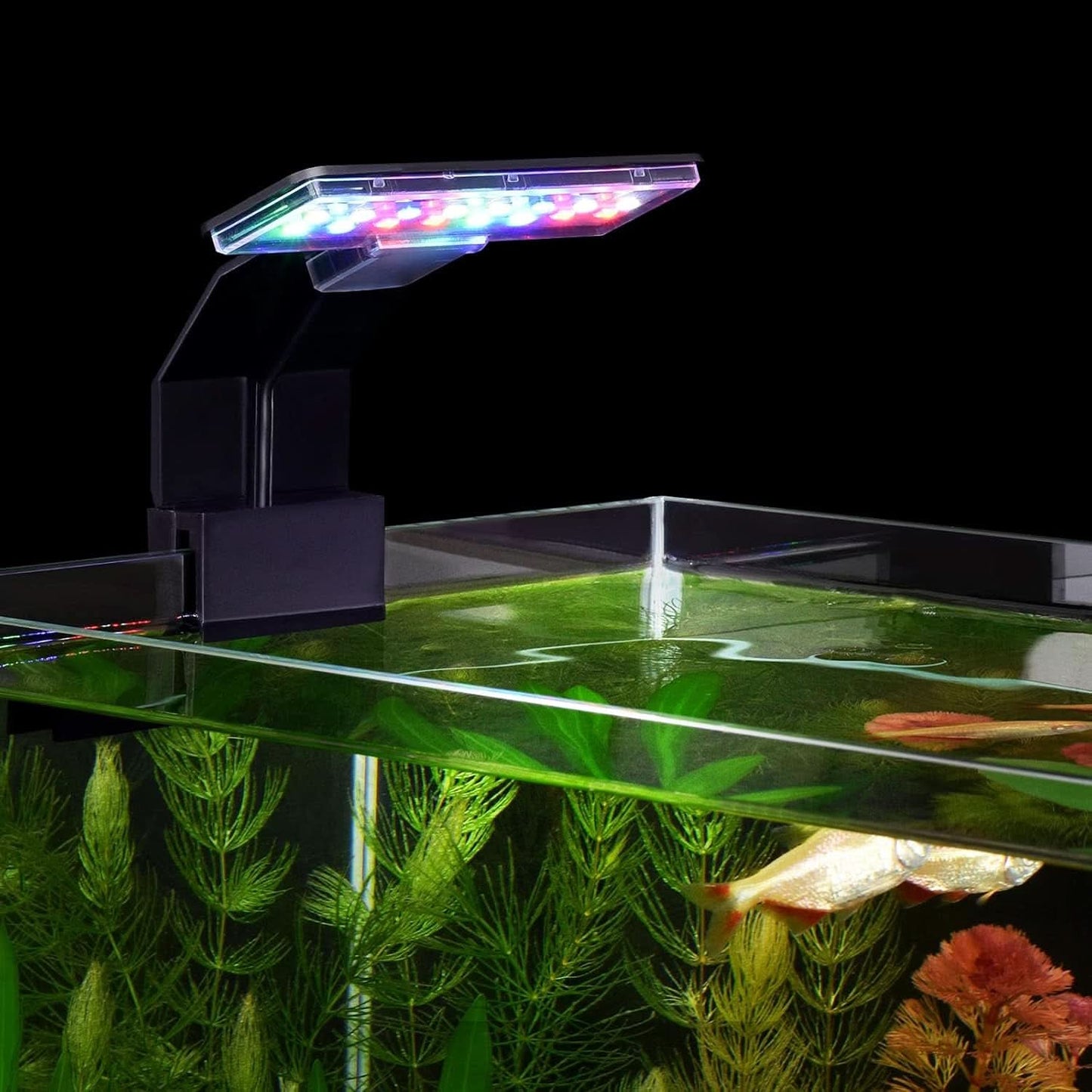 5W LED Aquarium Light with Three Adjustable Modes, 16 LEDs, 550LM for 12-Inch Fish Tanks (0.24 Inch Thickness)