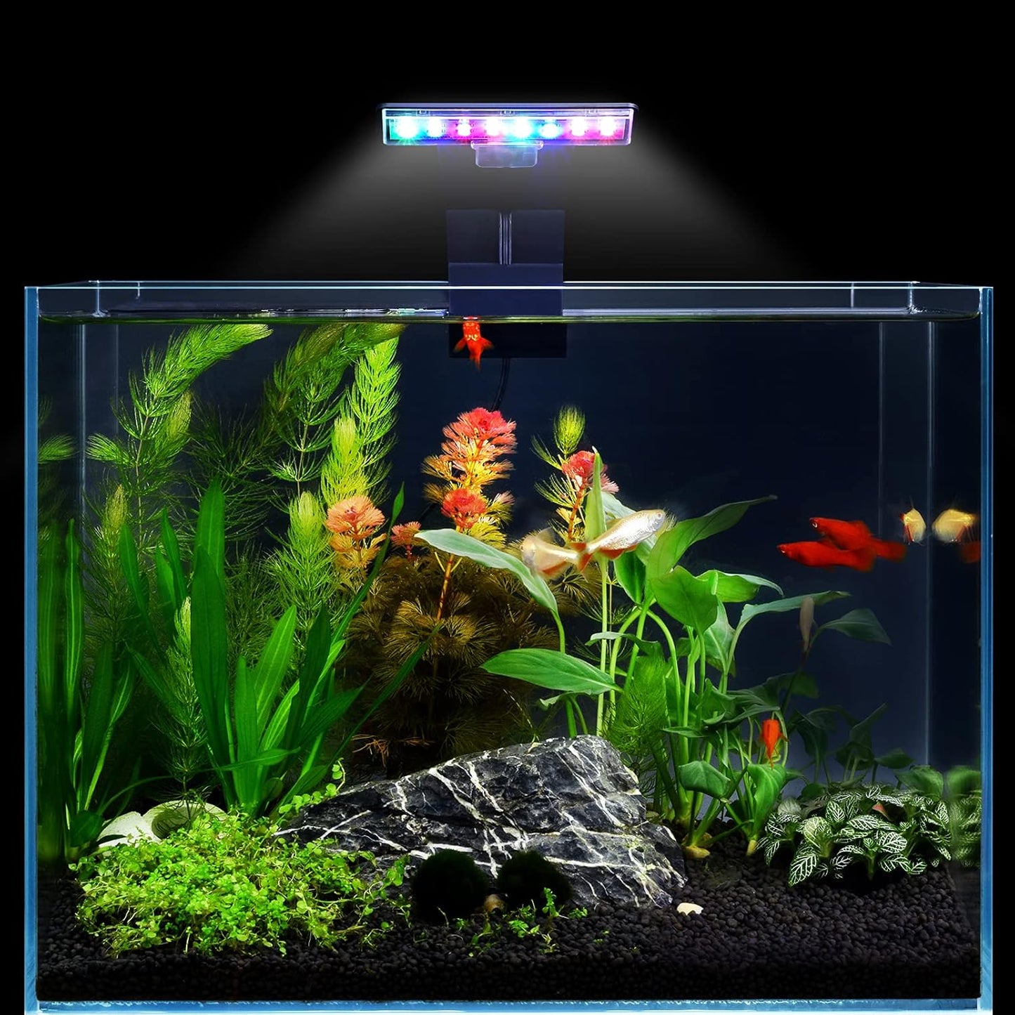 5W LED Aquarium Light with Three Adjustable Modes, 16 LEDs, 550LM for 12-Inch Fish Tanks (0.24 Inch Thickness)
