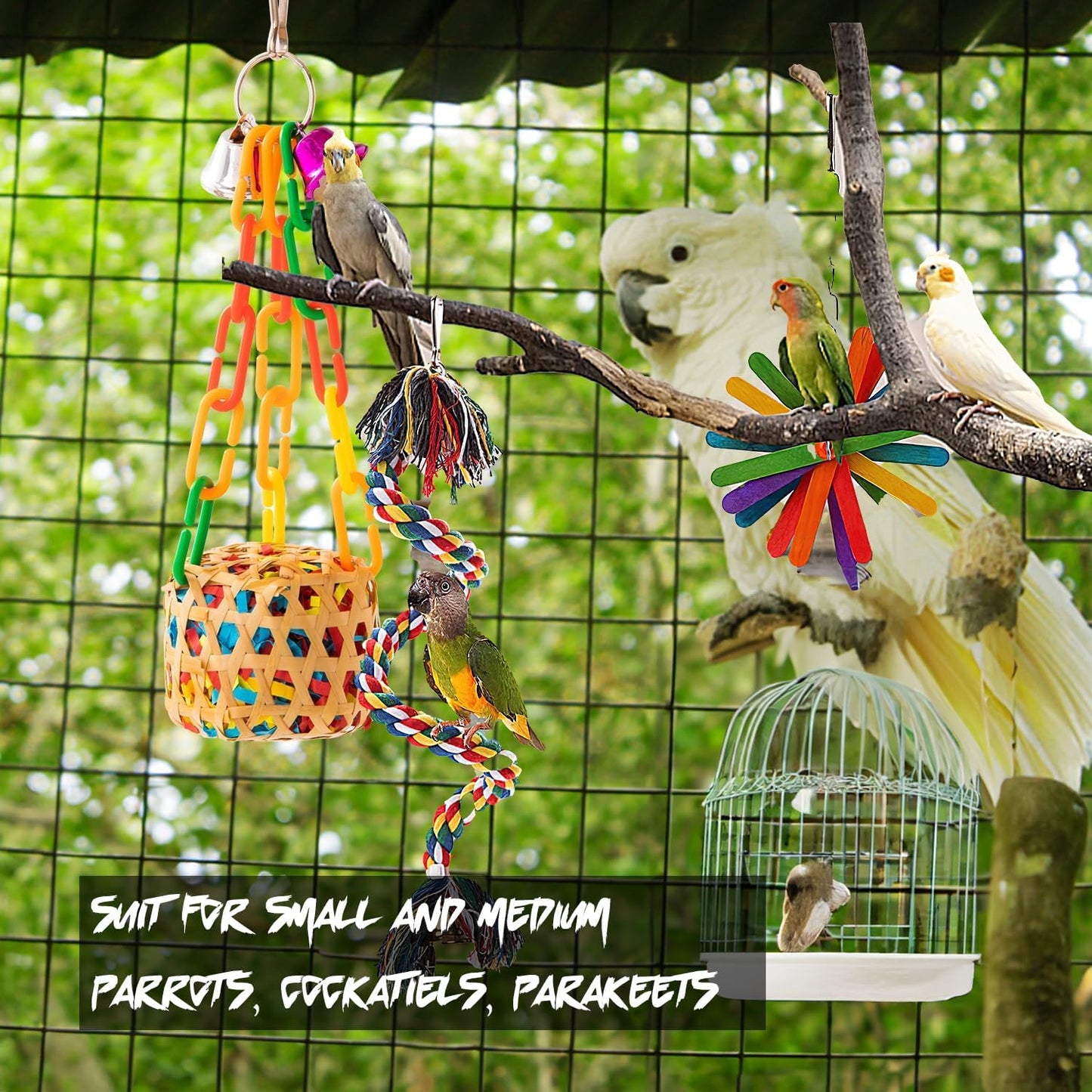 6-Pack Bird Toys for Parakeets, Parrots, and Conures - Foraging and Chewing Accessories with Unique Cage Perches for an Enriching Aviary Experience