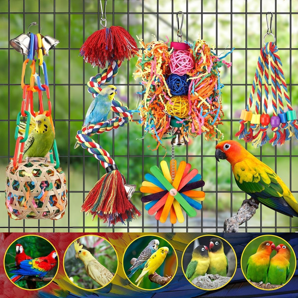 6-Pack Bird Toys for Parakeets, Parrots, and Conures - Foraging and Chewing Accessories with Unique Cage Perches for an Enriching Aviary Experience