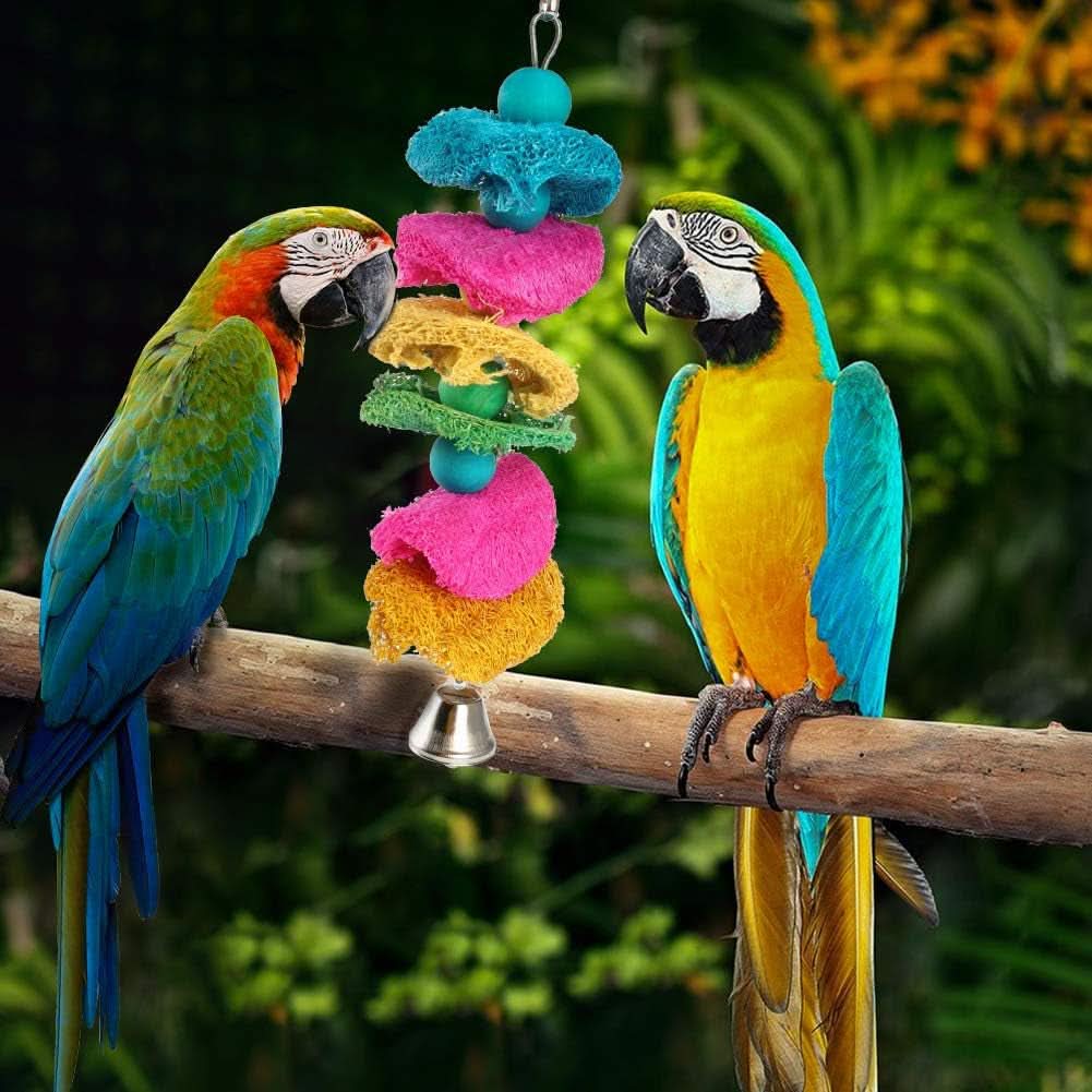 8-Pack Natural Wood and Rope Bird Swing Toys for Parrots, Parakeets, Conures, Cockatiels, Mynahs, and Love Birds