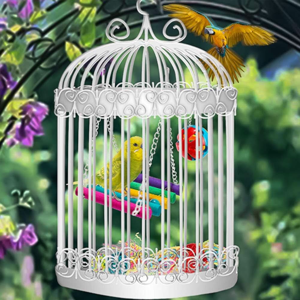 8-Pack Natural Wood and Rope Bird Swing Toys for Parrots, Parakeets, Conures, Cockatiels, Mynahs, and Love Birds