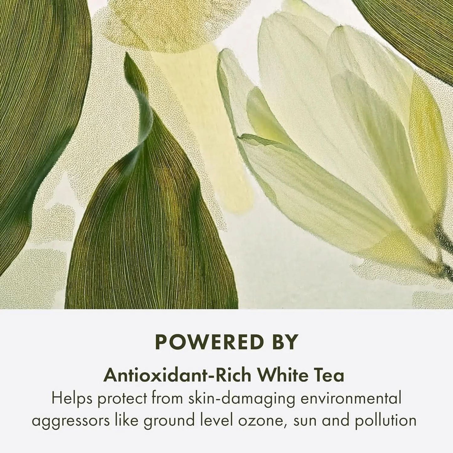 A Perfect World Antioxidant Serum with White Tea - 1.7 Fl Oz for Youthful-Looking Skin