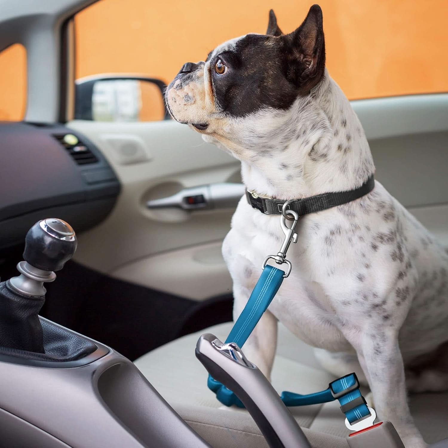 Adjustable Pet Car Harness with Elastic Bungee Buffer - Essential Safety Restraint and Dog Leash for Travel (Blue)