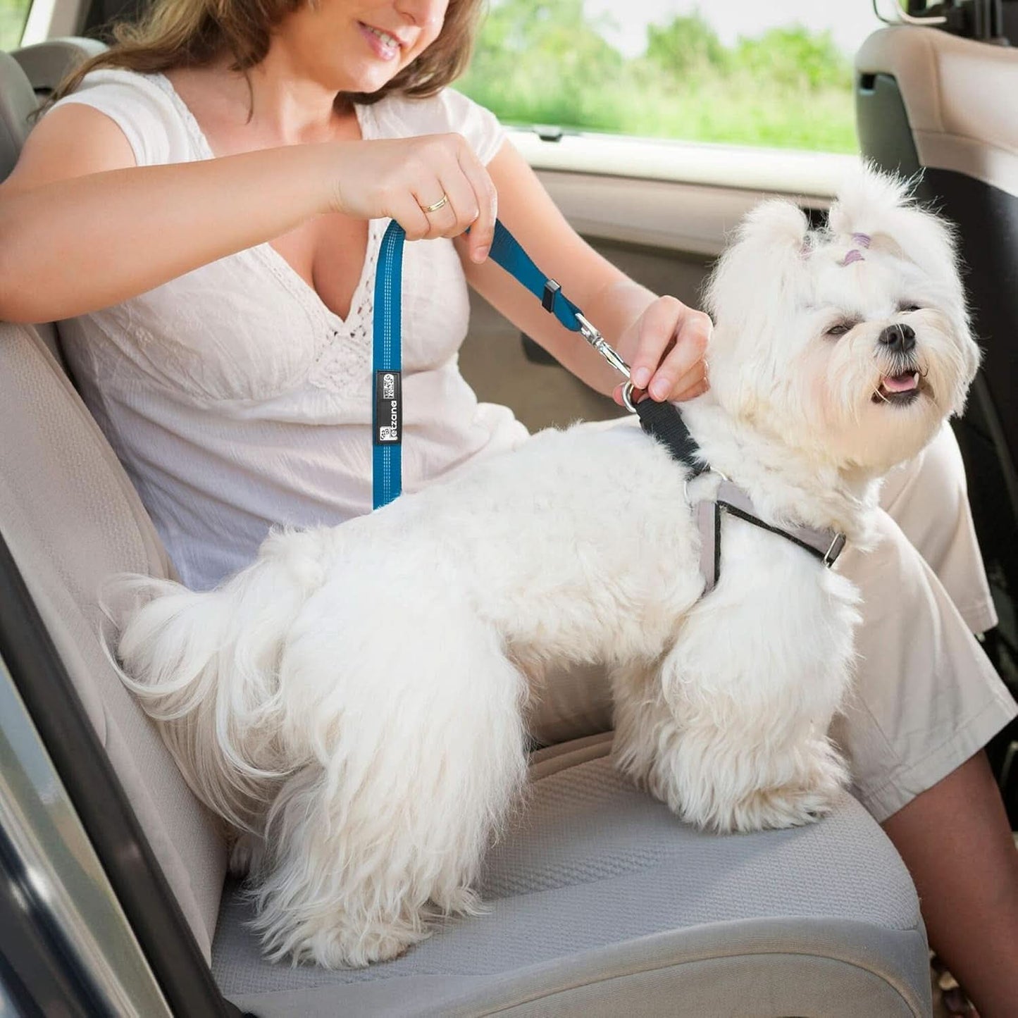 Adjustable Pet Car Harness with Elastic Bungee Buffer - Essential Safety Restraint and Dog Leash for Travel (Blue)
