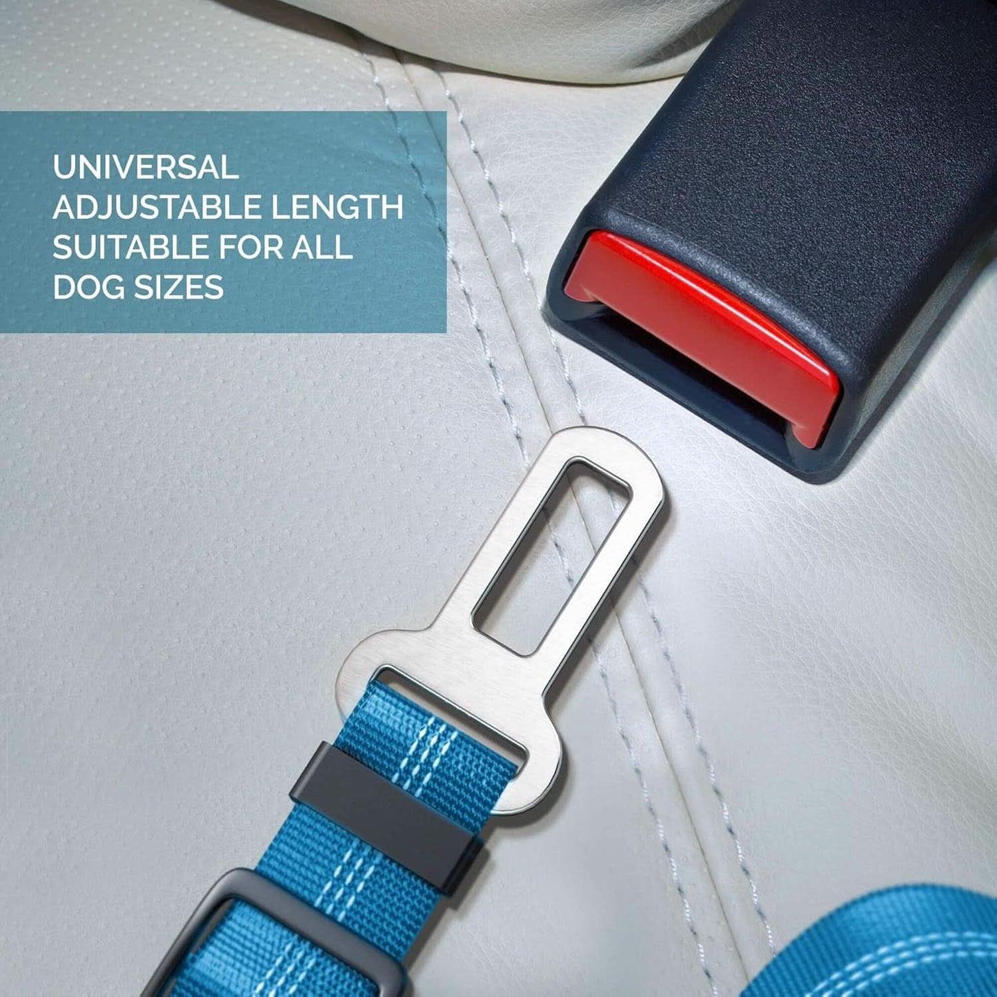 Adjustable Pet Car Harness with Elastic Bungee Buffer - Essential Safety Restraint and Dog Leash for Travel (Blue)
