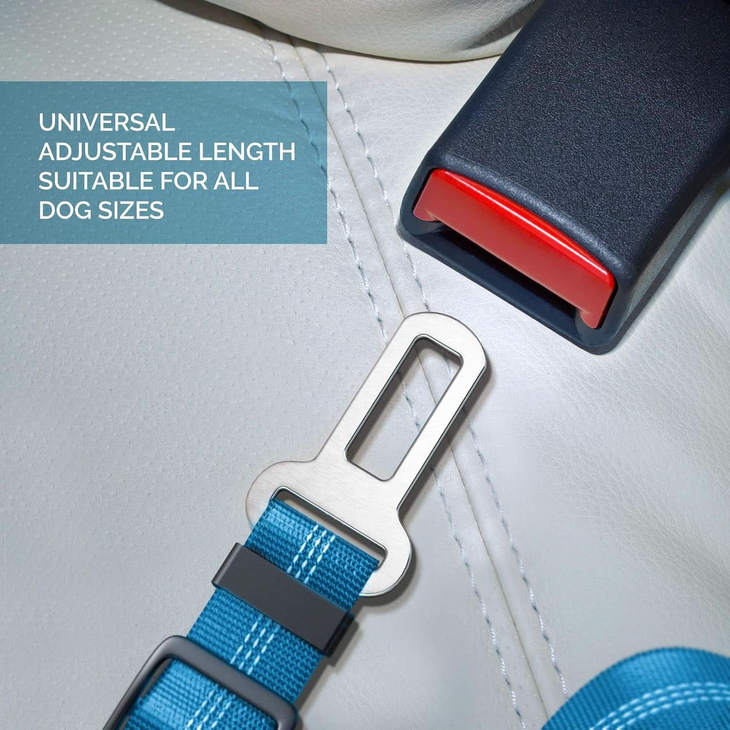 Adjustable Pet Car Harness with Elastic Bungee Buffer - Essential Safety Restraint and Dog Leash for Travel (Blue)