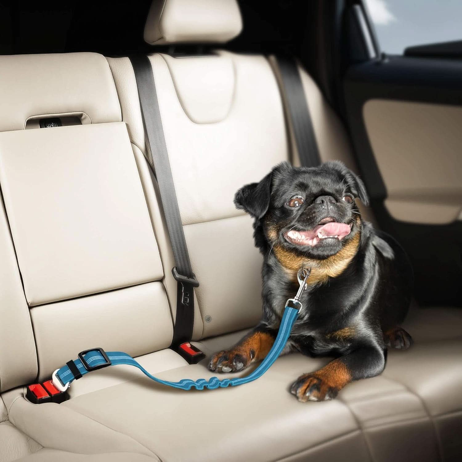 Adjustable Pet Car Harness with Elastic Bungee Buffer - Essential Safety Restraint and Dog Leash for Travel (Blue)