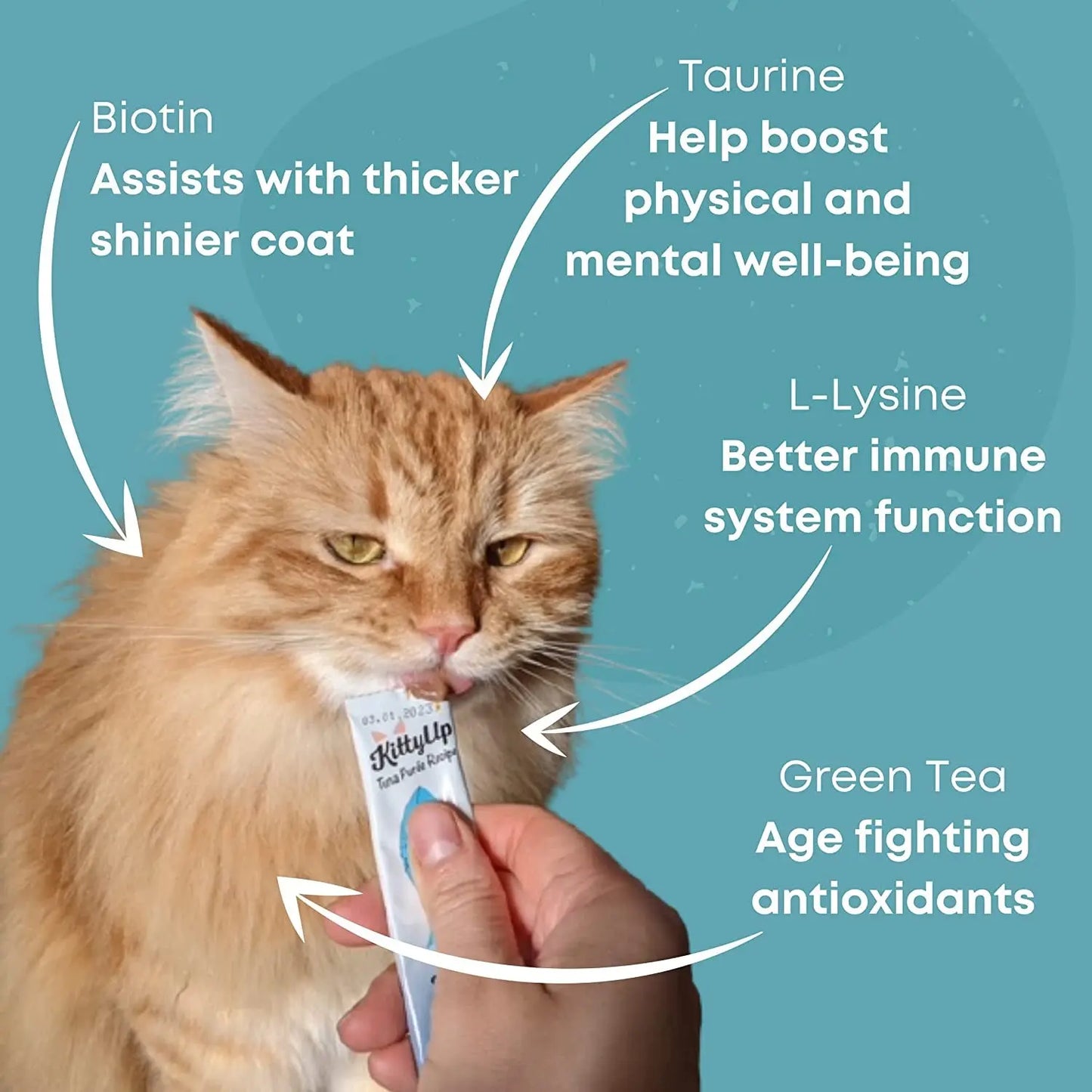 All-Natural Tuna Puree Treat Pouches for Indoor Cats - Soft Wet Cat Food for Kittens and Seniors - Limited Ingredient, Grain-Free, with Lysine and Taurine - 16 Tubes (0.5 oz each)