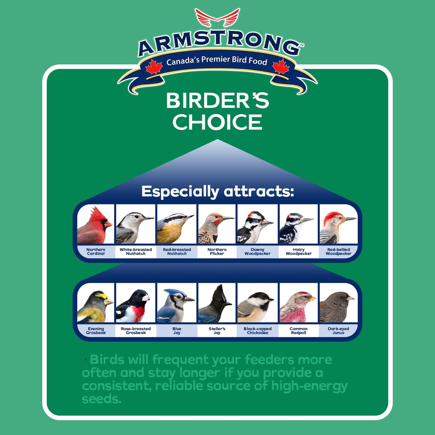 Armstrong Wild Bird Food Birder'S Choice Suet Cake, 11.3Oz (Pack of 8)