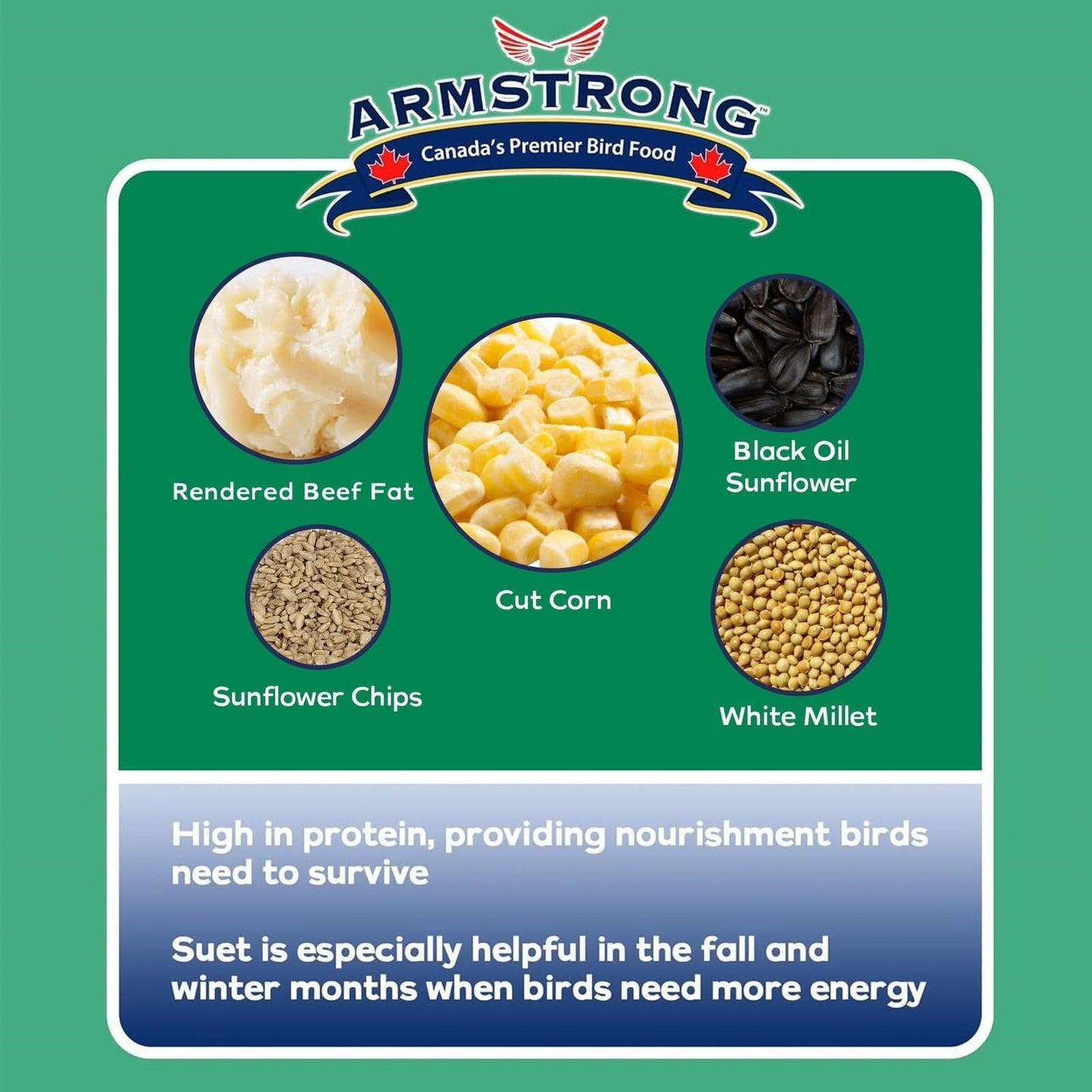 Armstrong Wild Bird Food Birder'S Choice Suet Cake, 11.3Oz (Pack of 8)